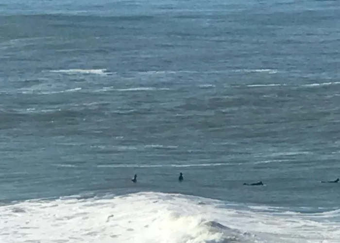 펜션 Casa Sardine *